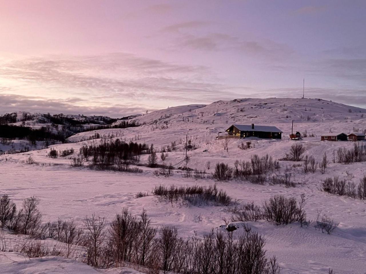 Luksushytte I Kokelv Exteriér fotografie