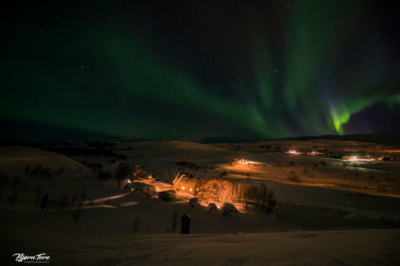 Luksushytte I Kokelv Exteriér fotografie